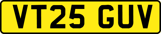 VT25GUV