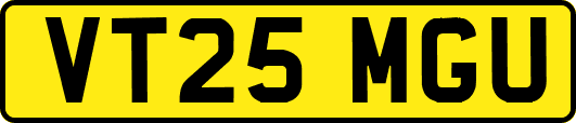 VT25MGU