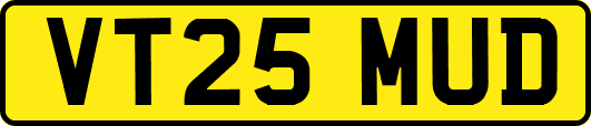 VT25MUD