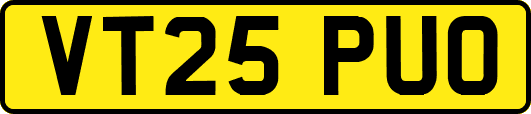 VT25PUO