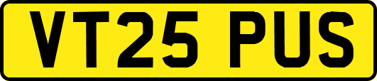 VT25PUS