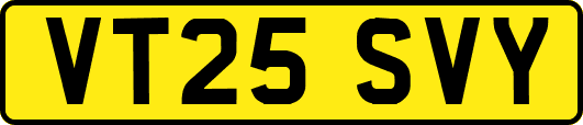 VT25SVY