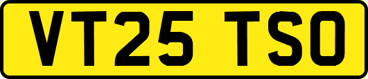 VT25TSO