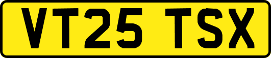 VT25TSX