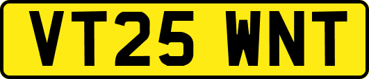 VT25WNT