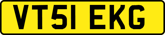 VT51EKG