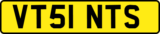 VT51NTS