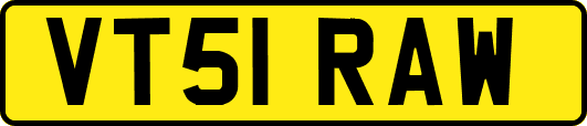 VT51RAW