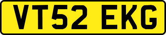 VT52EKG
