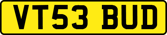 VT53BUD