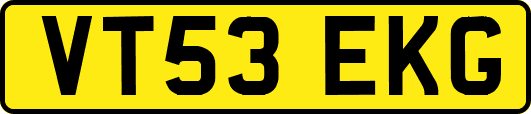 VT53EKG