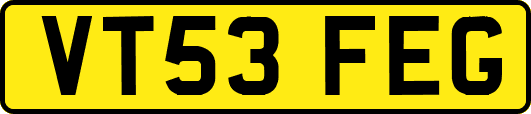 VT53FEG