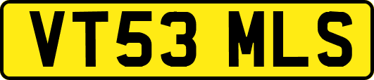 VT53MLS