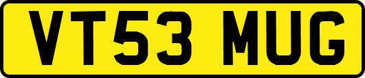 VT53MUG