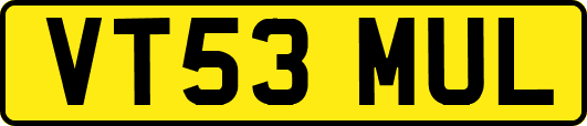 VT53MUL