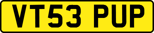 VT53PUP