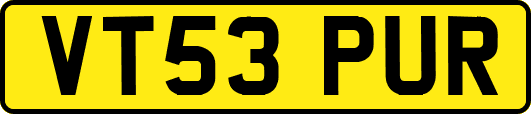 VT53PUR