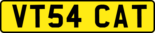 VT54CAT