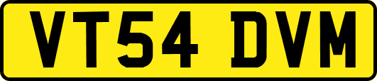 VT54DVM