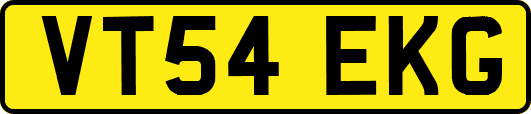 VT54EKG
