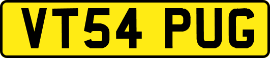 VT54PUG