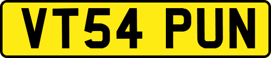 VT54PUN