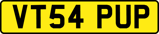 VT54PUP