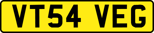 VT54VEG