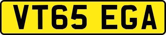 VT65EGA