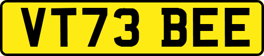 VT73BEE