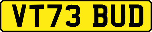 VT73BUD