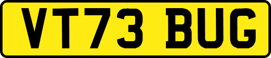 VT73BUG