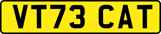 VT73CAT