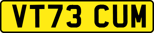 VT73CUM