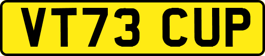 VT73CUP