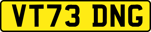 VT73DNG