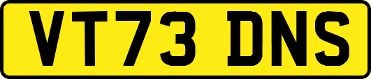 VT73DNS