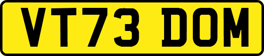 VT73DOM