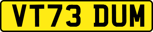 VT73DUM