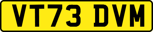 VT73DVM