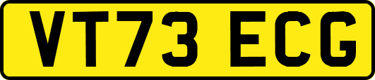 VT73ECG