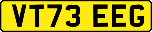 VT73EEG