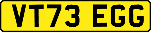 VT73EGG