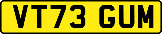 VT73GUM
