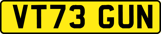 VT73GUN