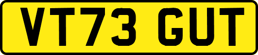 VT73GUT