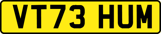 VT73HUM