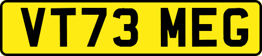 VT73MEG