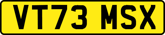 VT73MSX