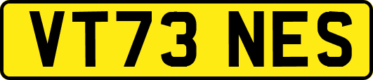 VT73NES